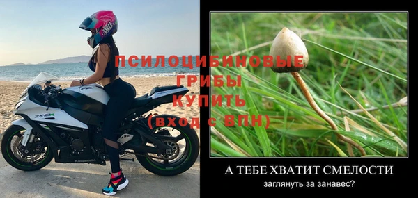 спайс Алексин