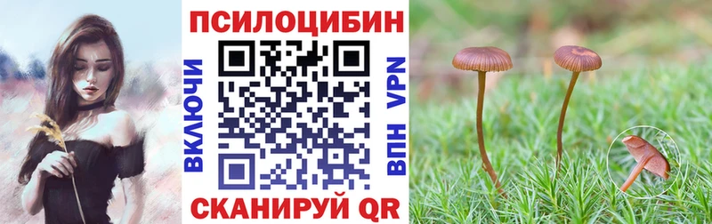 hydra маркетплейс  Заволжск  Псилоцибиновые грибы Cubensis 